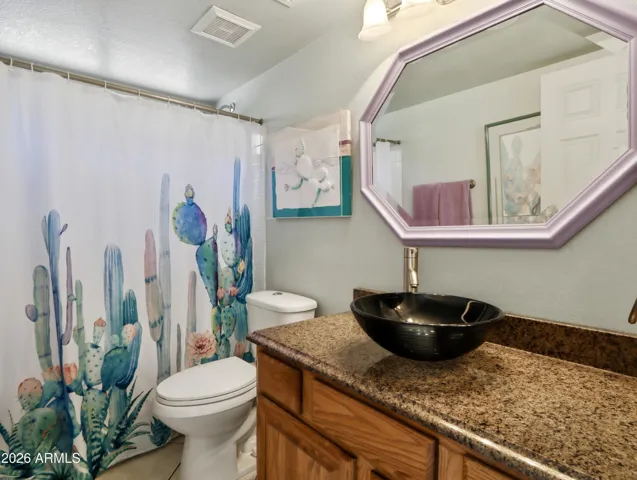 downstairs full bath, granite top & vessel sink
