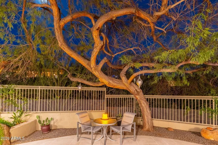 Cozy outdoor seating area beneath a mature tree, surrounded by desert landscaping, offering a peaceful Scottsdale backyard retreat.