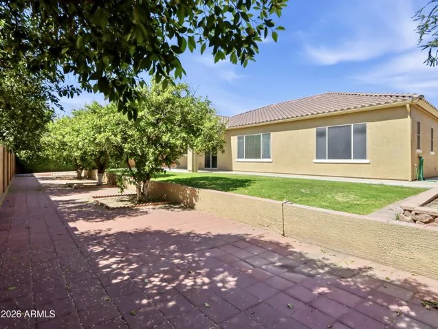 Orange Trees Maintained by HOA