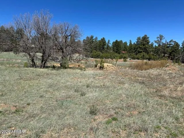 Torreon Lakes Lot