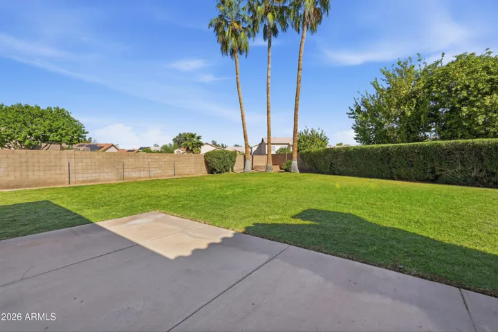 Large back yard