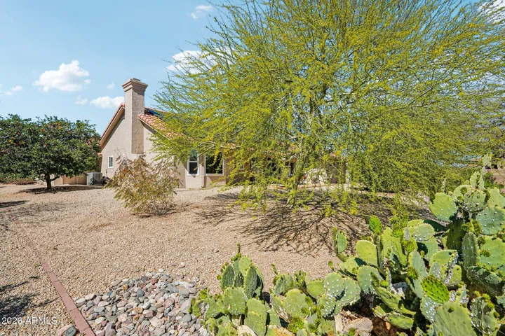 The back of the home