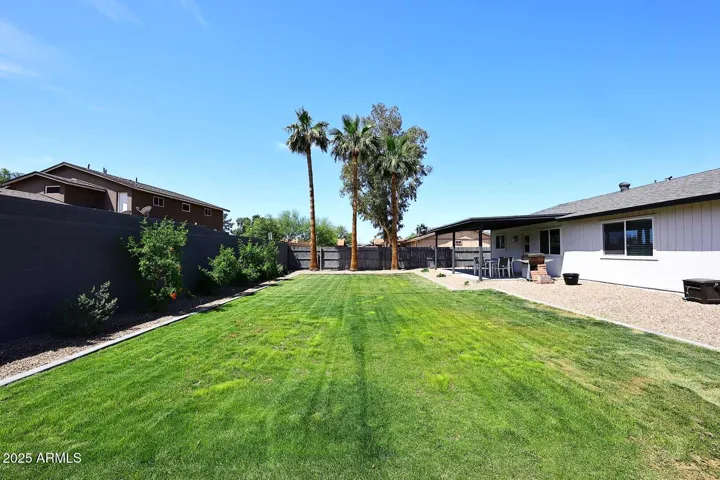 Grassy backyard