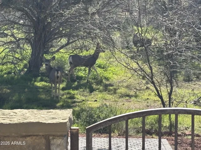 A wild life sanctuary with birds and deer