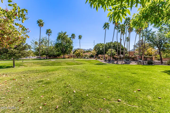 Abundant Green Space