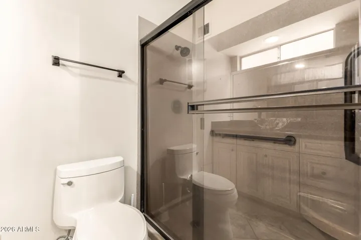 Primary Ensuite shower