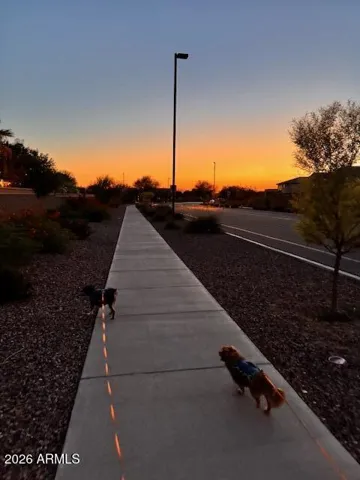 Walks with the pups, lots of sidewalks throughout master planned community