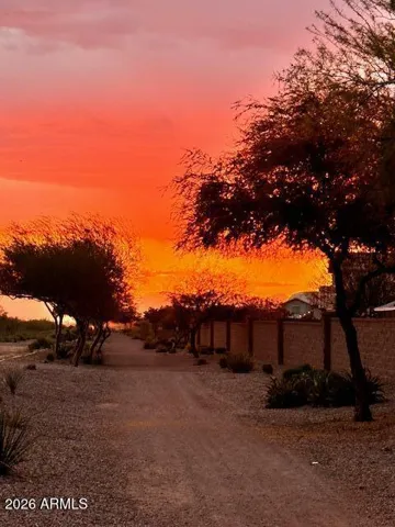 Evening walk at sunset