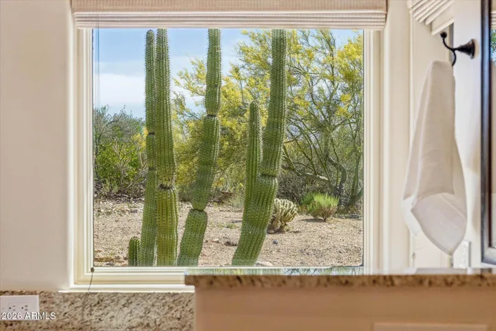 Desert Views