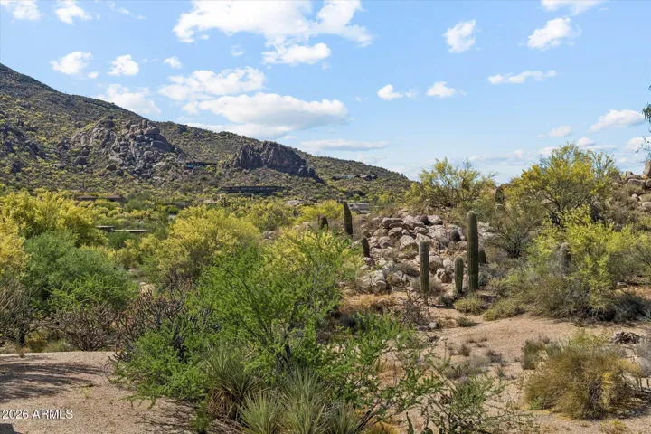 Our Lush Sonoran Desert
