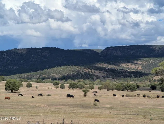 View from Deck