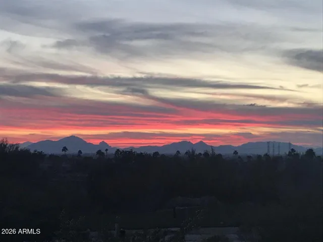 view from backyard