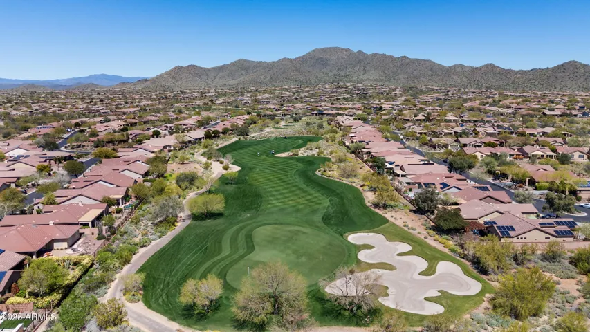 Ironwood #3