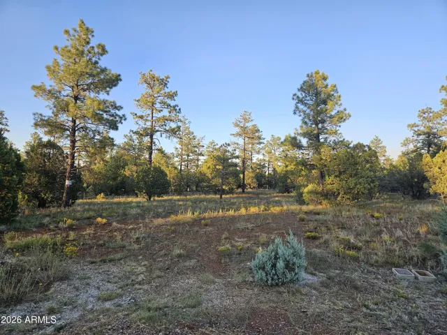 Close to Show Low Lake