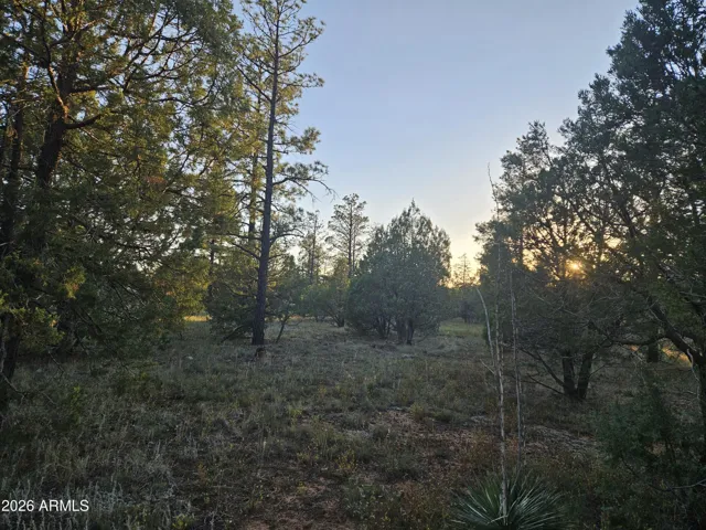 Level lot