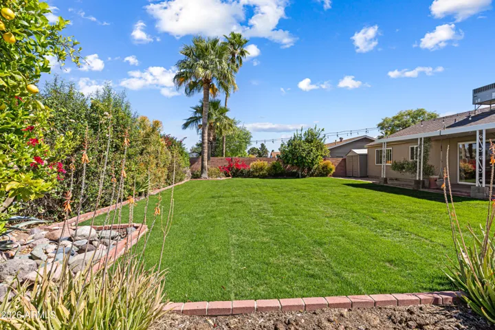 Lush and mature trees, hanging lights, brick patio and firepit.