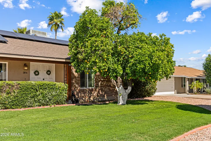 Beautiful N Phoenix home near the preserve offers a grassy front yard, grapefruit tree, brick accents, double door entry and stunning curb appeal.