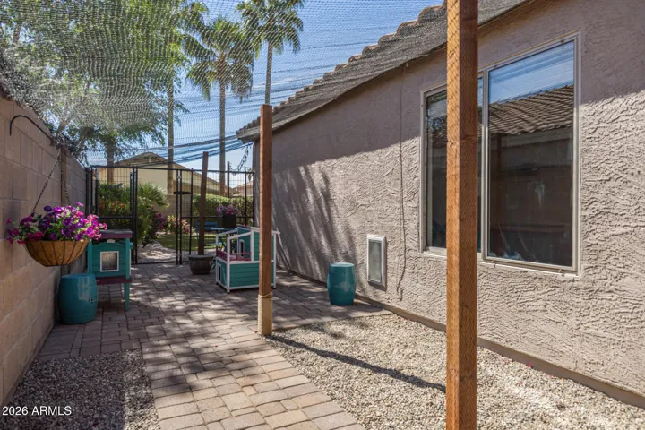 Pet Patio