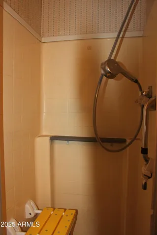 Step in shower w/bench and handheld shower head if desired
