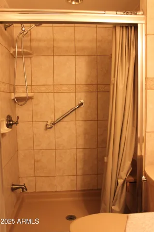Step in shower w/grab bars in guest bath