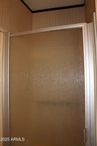 Glazed shower door