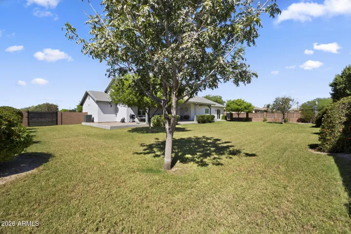 back yard