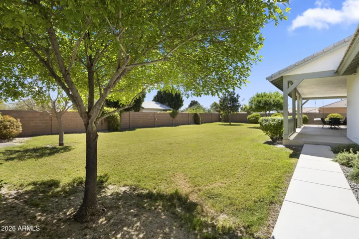 private back yard