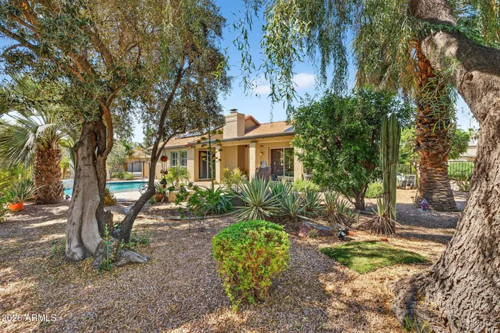 Backyard Landscape
