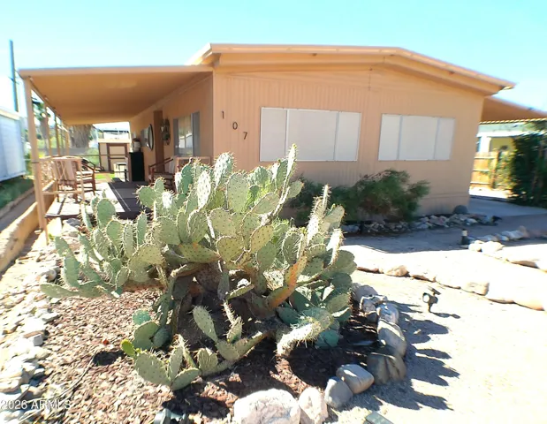 Desert landscaping!