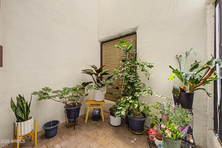 Natural light, open atrium perfect for growing your favorite plants and creating a place of solitude.