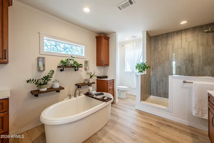 Freestanding Soaking Tub with walk-in shower