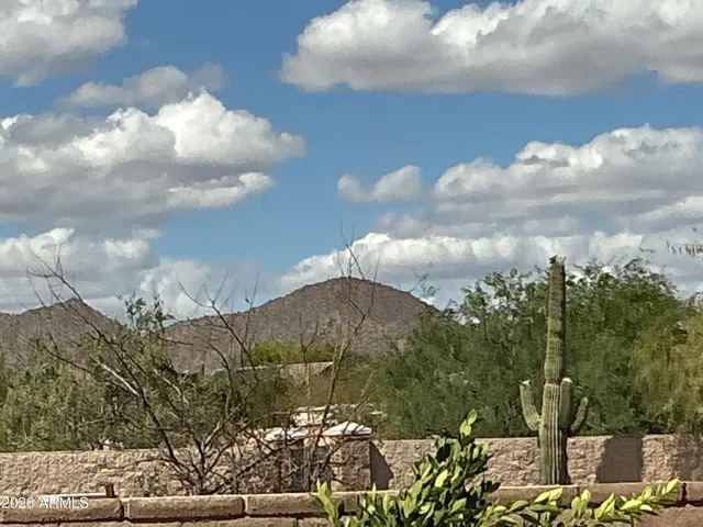 Mountain view and beautiful saguaro cactus from backyard-zoomed in