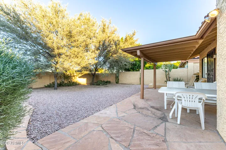 Back yard