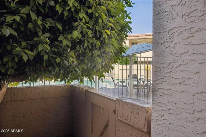 Pool Access from Back Patio