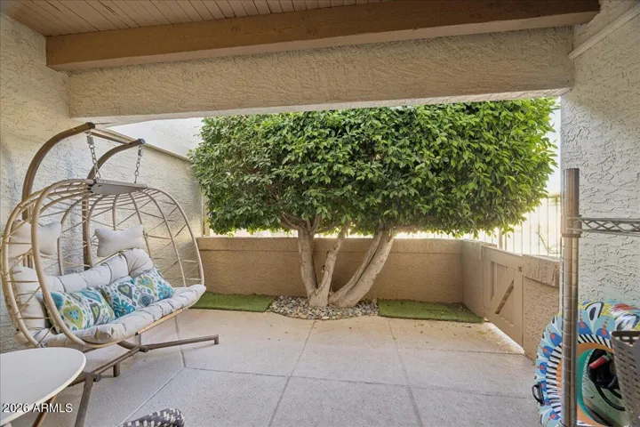 Back Patio