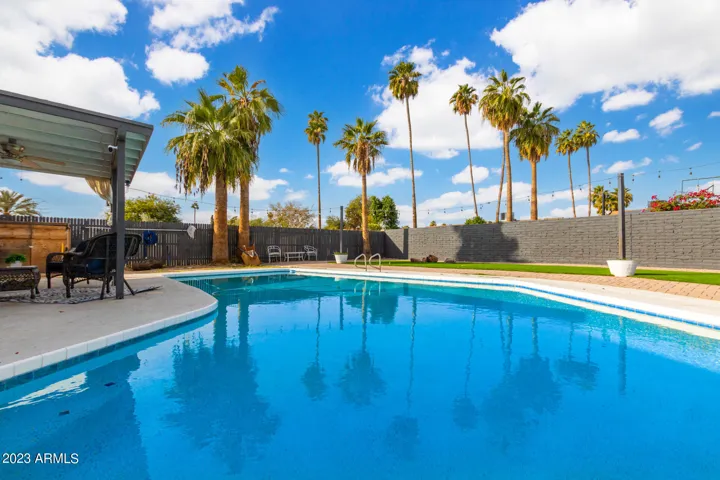 Backyard/Pool