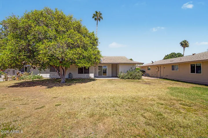 Backyard with covered patio, mature citrus tree, and grassy area, providing a relaxing outdoor retreat with greenbelt-style openness in Sun City.