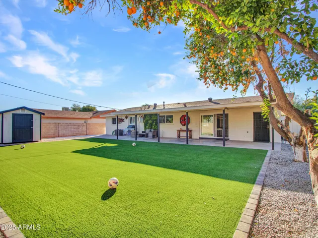 Fabulous backyard with artificial turf, covered patio, fruit trees and shed.
