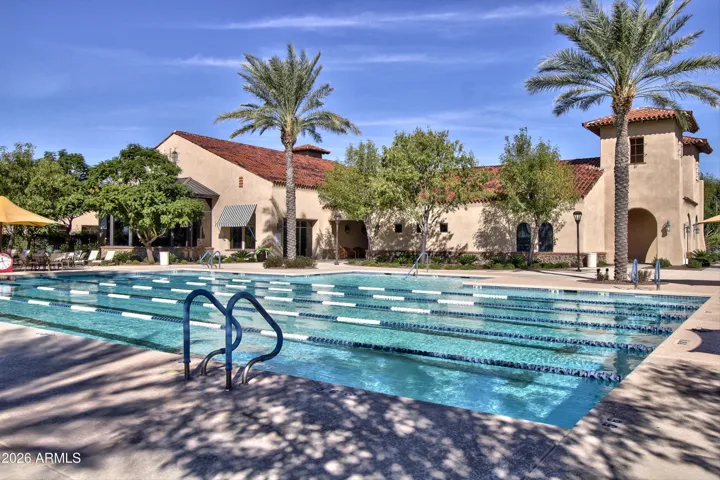 Lap Pool