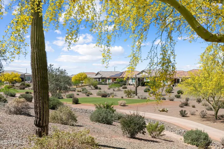 Backyard Oasis