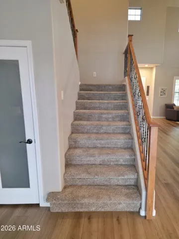 Stairs and door to under stair storage