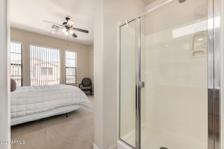 Separate Shower Primary Bathroom