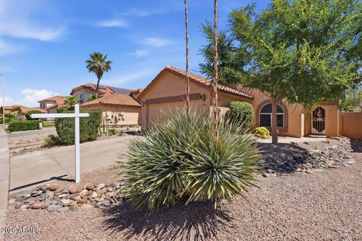 Low-maintenance landscaping