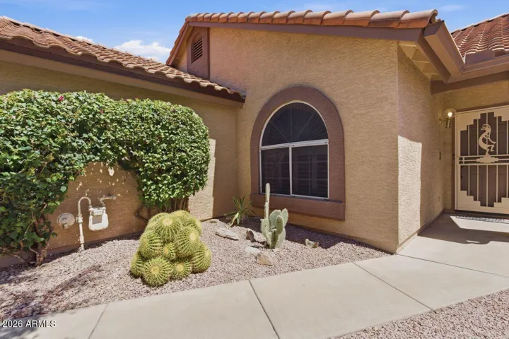 Desert landscaping