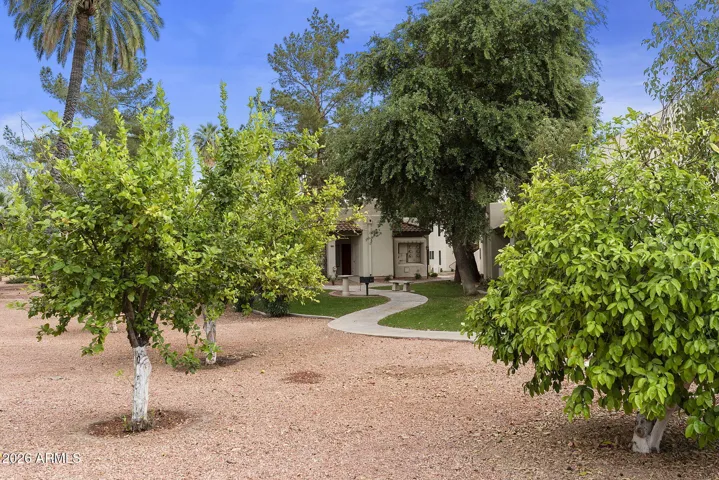 Walking paths through the community and citrus orchard