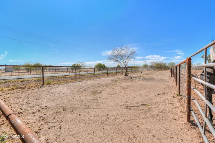 could be run back alley space if needed or pens and add gates into arena