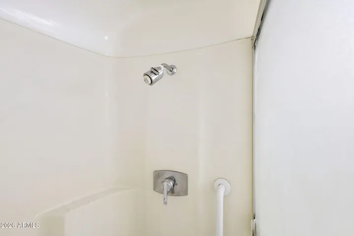 Primary Bathroom Shower