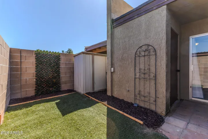Backyard with turf