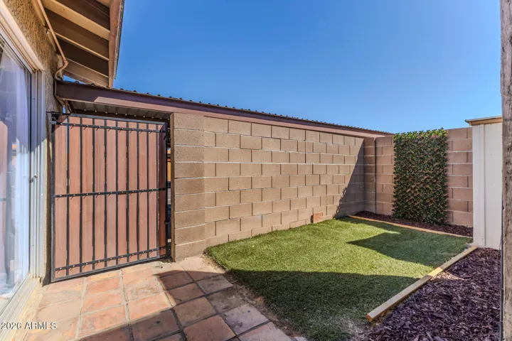 Backyard with turf