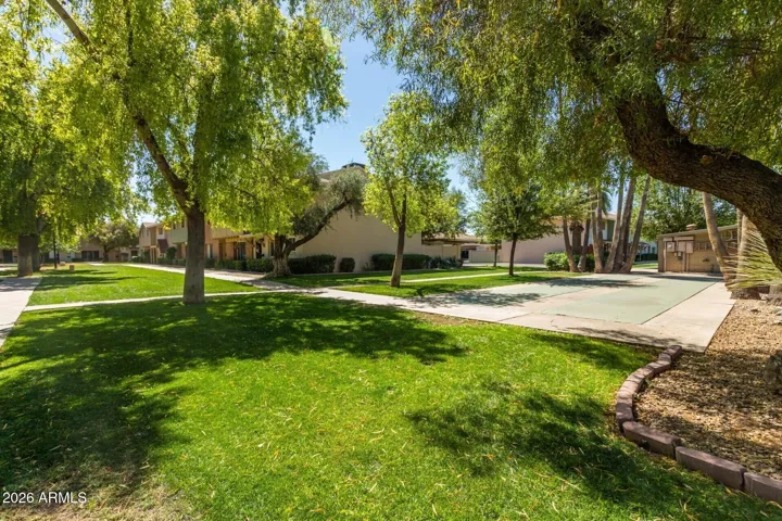 Trees and Green Lawn